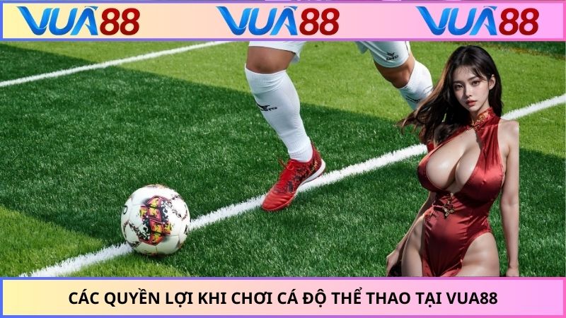 Các quyền lợi khi chơi cá độ thể thao tại VUA88
