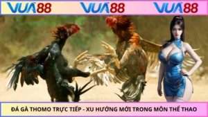 Đá Gà Thomo Trực Tiếp - Xu Hướng Mới Trong Môn Thể Thao