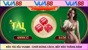 Kèo Tài Xỉu VUA88 - Chơi Đúng Cách, Bắt Kèo Thắng Đậm