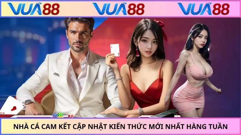 Nhà cái cam kết cập nhật kiến thức mới nhất hàng tuần