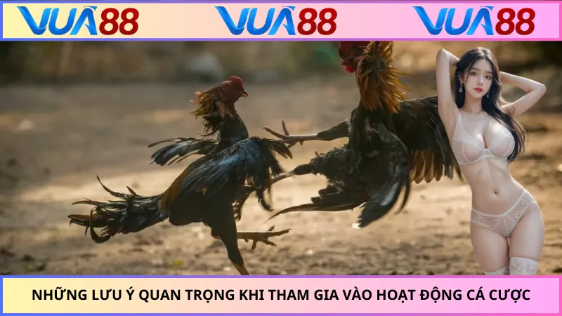 Những lưu ý quan trọng khi tham gia vào hoạt động cá cược