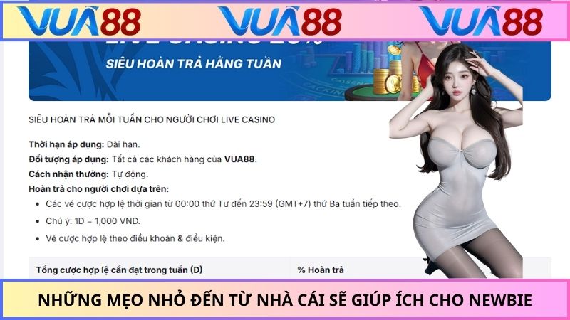 Những mẹo nhỏ đến từ nhà cái sẽ giúp ích cho newbie