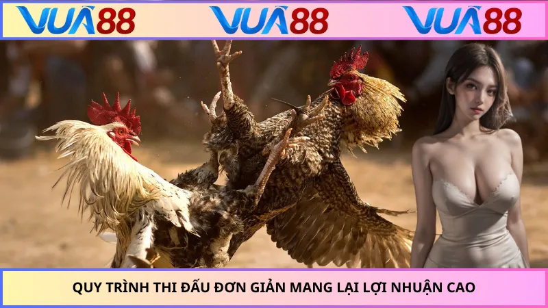 Quy trình thi đấu đơn giản mang lại lợi nhuận cao
