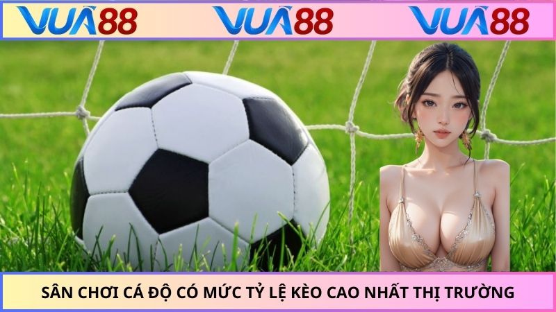 Sân chơi cá độ có mức tỷ lệ kèo cao nhất thị trường