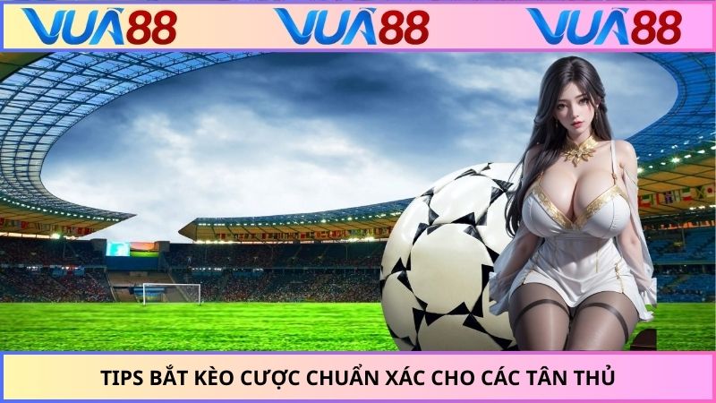 Tips bắt kèo cược chuẩn xác cho các tân thủ