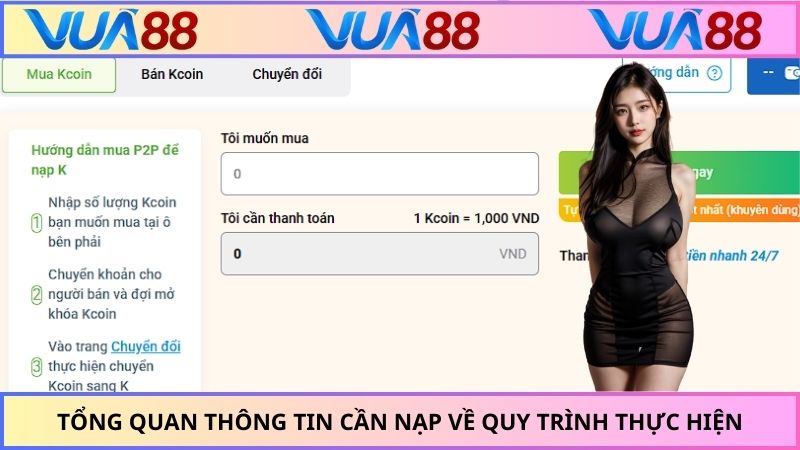 Tổng quan thông tin cần nạp về quy trình thực hiện
