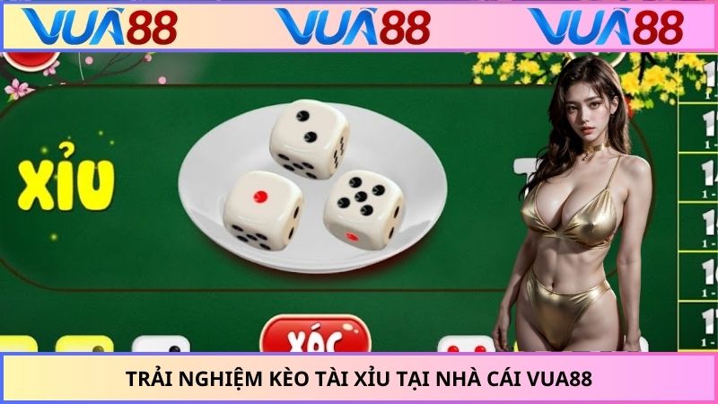 Trải nghiệm kèo tài xỉu tại nhà cái VUA88