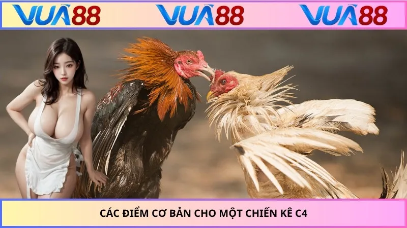 Các điểm cơ bản cho một chiến kê C4