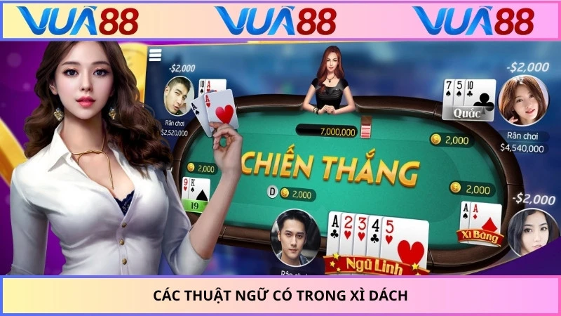Các thuật ngữ có trong xì dách