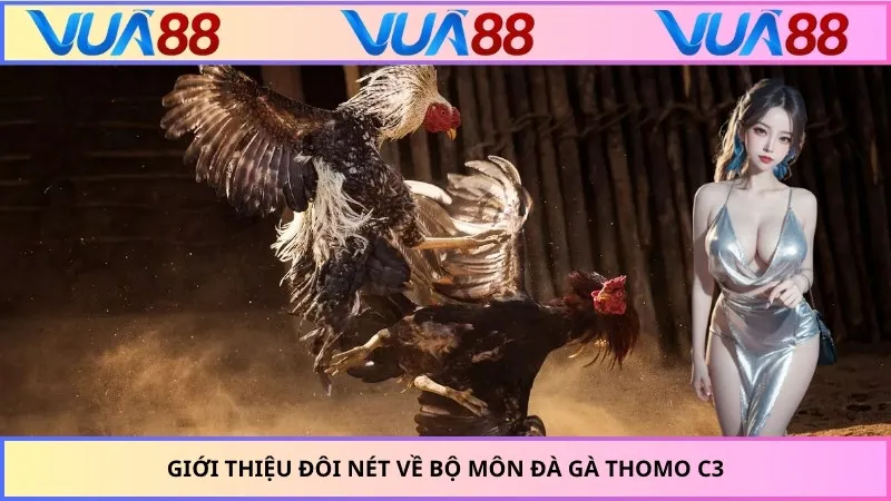Giới thiệu đôi nét về bộ môn đà gà Thomo C3