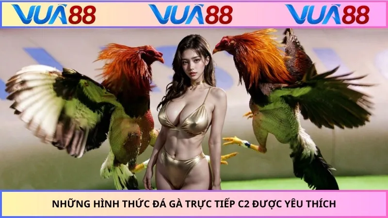 Những hình thức đá gà trực tiếp C2 được yêu thích