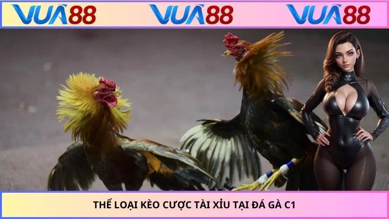 Thể loại kèo cược tài xỉu tại đá gà C1