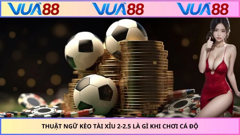 Thuật ngữ kèo tài xỉu 2-2.5 là gì khi chơi cá độ