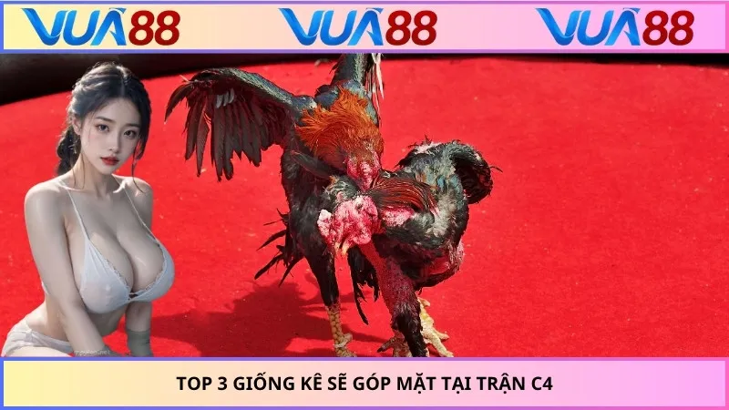 Top 3 giống kê sẽ góp mặt tại trận C4