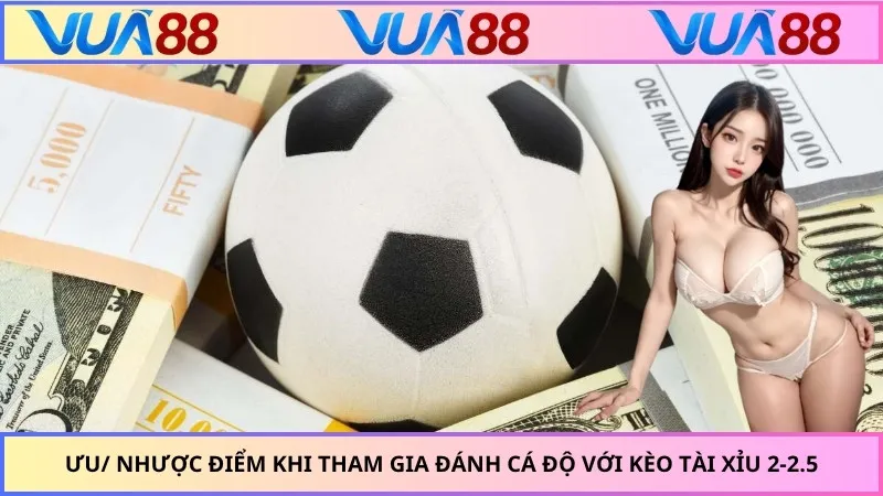 Thuật ngữ kèo tài xỉu 2-2.5 là gì khi chơi cá độ